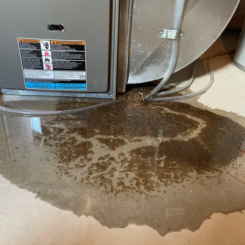 Appliance Leak Cleanup in Clinton, IN